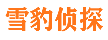 屏南侦探公司